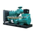 300KW Diesel conjunto gerador de venda